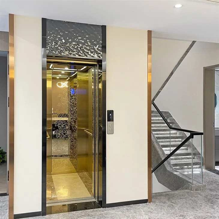 FUJI Home Elevator